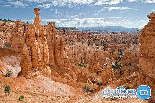 هیجان ماراتن در ژئو پارک قشم