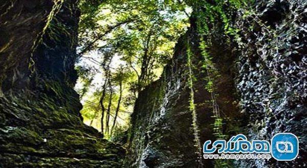 جنگل سرپوش تنگه چالوس؛ طبیعتی بکر در شمال ایران