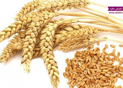 خواص گندم سبوس دار و فواید آن برای سلامتی