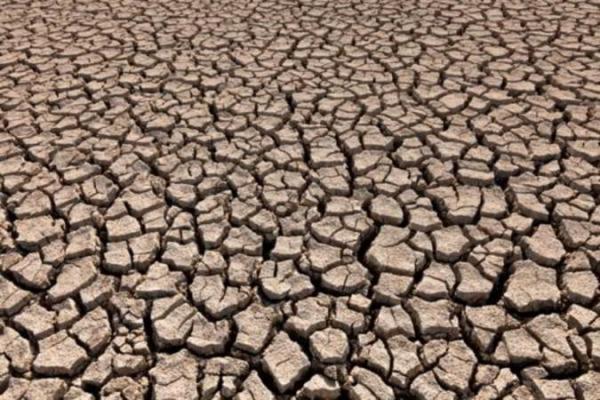 علل و اثرات بیابان زایی