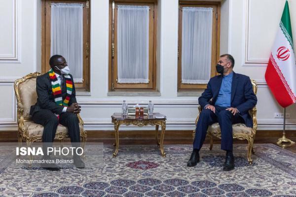 گزارش دستیار وزیر خارجه از سفر هیات زیمبابوه به تهران و واکنش به بعضی حاشیه ها در خصوص این سفر